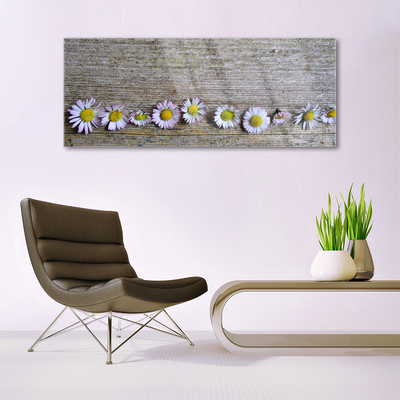 Plexiglas schilderij Daisy plant nature
