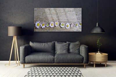 Plexiglas schilderij Daisy plant nature