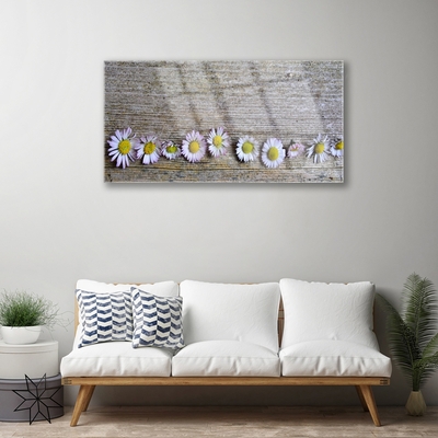 Plexiglas schilderij Daisy plant nature