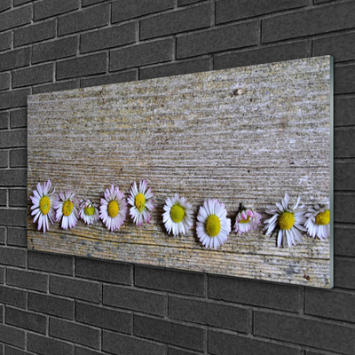 Plexiglas schilderij Daisy plant nature