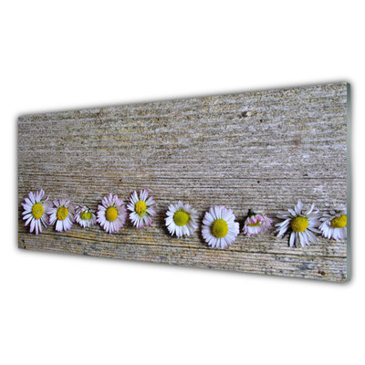 Plexiglas schilderij Daisy plant nature