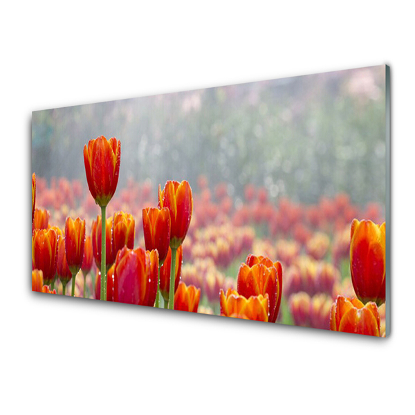 Plexiglas schilderij Tulpen bloemen plant