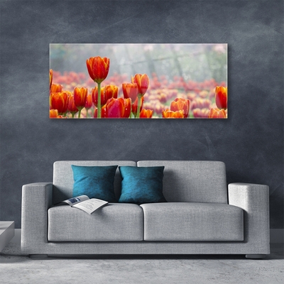 Plexiglas schilderij Tulpen bloemen plant