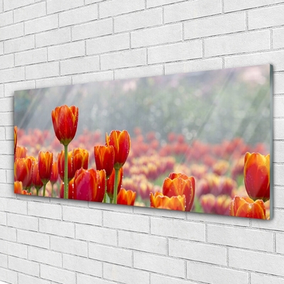 Plexiglas schilderij Tulpen bloemen plant