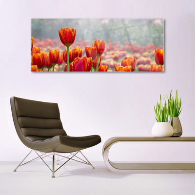 Plexiglas schilderij Tulpen bloemen plant