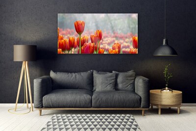 Plexiglas schilderij Tulpen bloemen plant