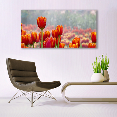 Plexiglas schilderij Tulpen bloemen plant