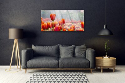 Plexiglas schilderij Tulpen bloemen plant