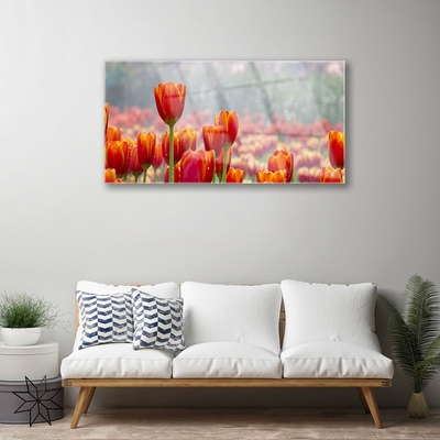 Plexiglas schilderij Tulpen bloemen plant