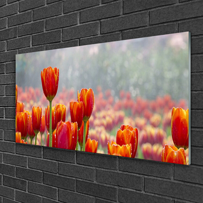 Plexiglas schilderij Tulpen bloemen plant