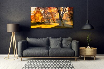 Plexiglas schilderij Bomen van de herfst natuur