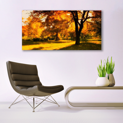 Plexiglas schilderij Bomen van de herfst natuur
