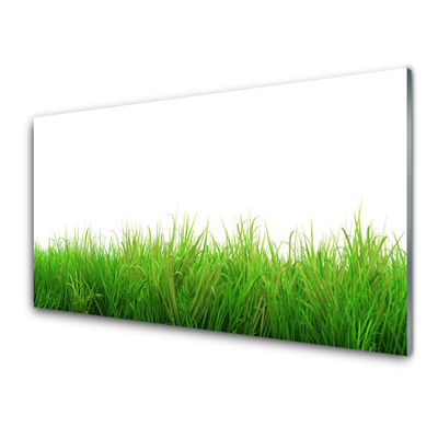 Plexiglas schilderij Grass nature plant