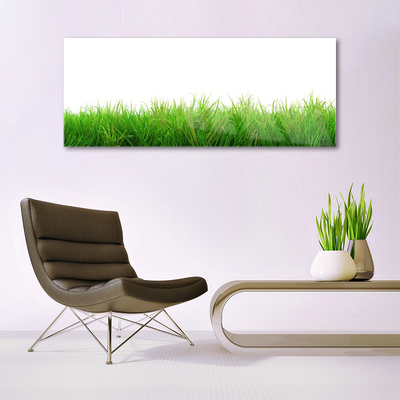 Plexiglas schilderij Grass nature plant