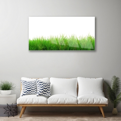 Plexiglas schilderij Grass nature plant