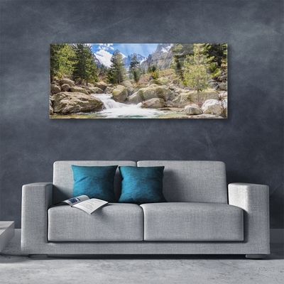 Plexiglas schilderij Stones river mountain forest