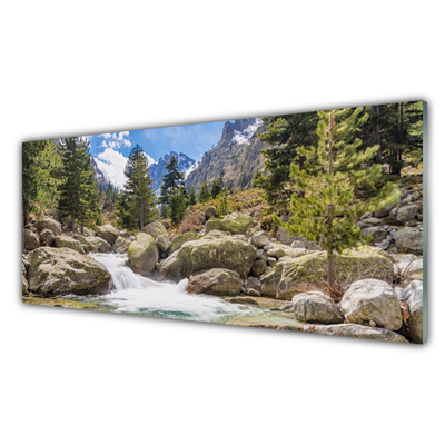 Plexiglas schilderij Stones river mountain forest
