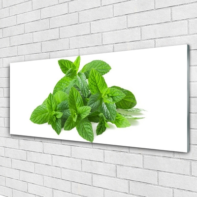 Plexiglas schilderij Mint plant nature