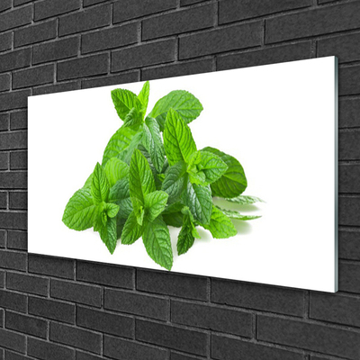 Plexiglas schilderij Mint plant nature