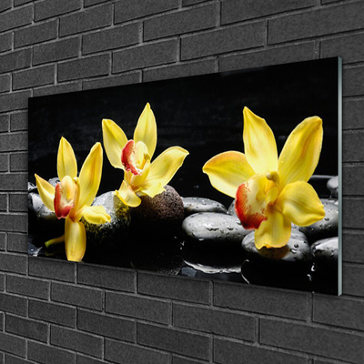 Plexiglas schilderij Flower orchideeinstallatie