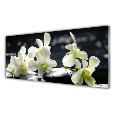 Plexiglas schilderij Flower orchideeinstallatie
