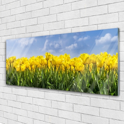 Plexiglas schilderij Tulpen bloemen plant