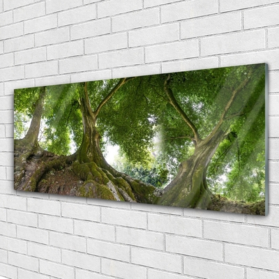 Plexiglas schilderij Bomen van de installatie nature