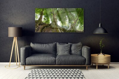 Plexiglas schilderij Bomen van de installatie nature