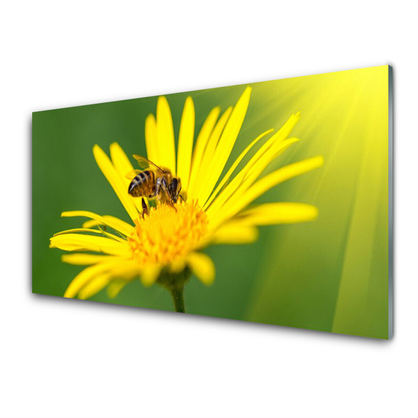 Plexiglas schilderij Bee flower nature