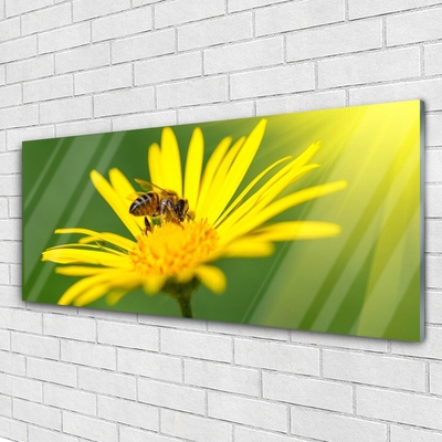 Plexiglas schilderij Bee flower nature