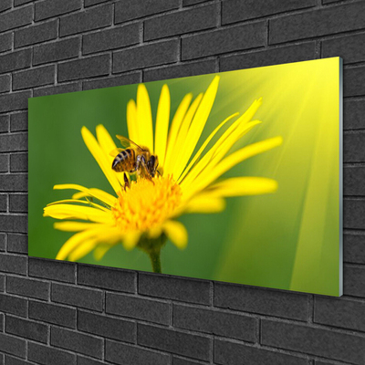 Plexiglas schilderij Bee flower nature