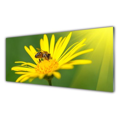 Plexiglas schilderij Bee flower nature