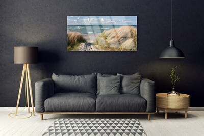 Plexiglas schilderij Strand zee landschap van het gras