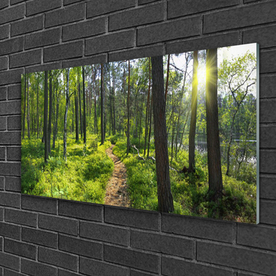 Plexiglas schilderij Bos weg lane nature