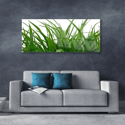 Plexiglas schilderij Grass nature plant