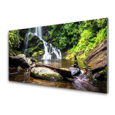 Plexiglas schilderij Bos stroom waterfall nature