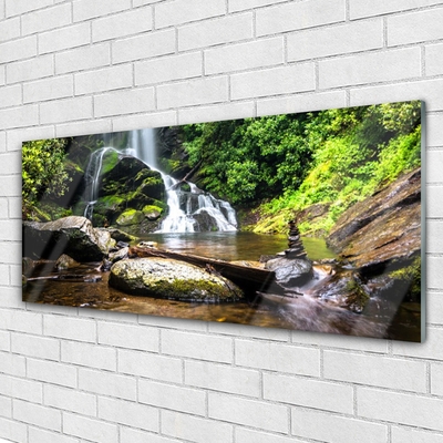 Plexiglas schilderij Bos stroom waterfall nature