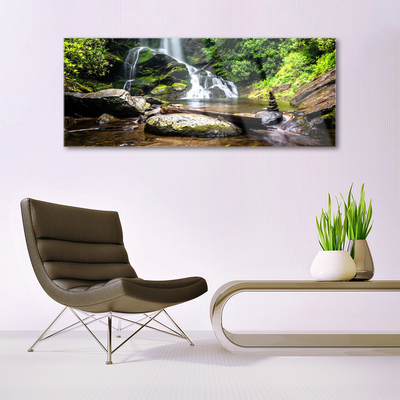 Plexiglas schilderij Bos stroom waterfall nature