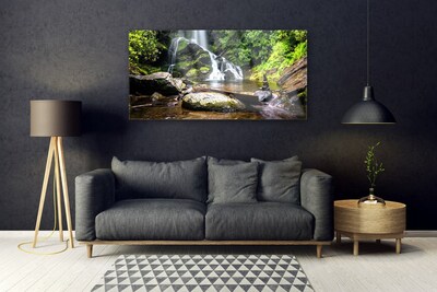 Plexiglas schilderij Bos stroom waterfall nature