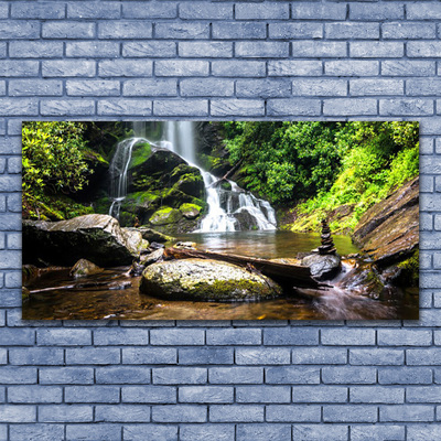 Plexiglas schilderij Bos stroom waterfall nature