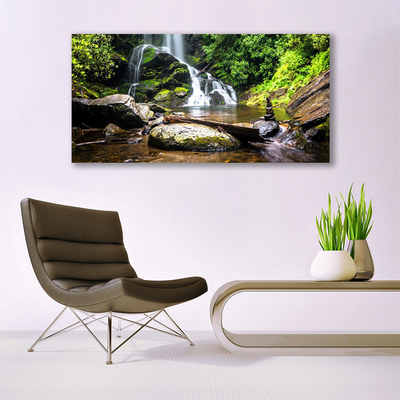 Plexiglas schilderij Bos stroom waterfall nature