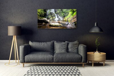 Plexiglas schilderij Bos stroom waterfall nature