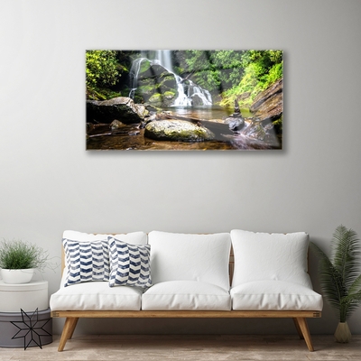 Plexiglas schilderij Bos stroom waterfall nature