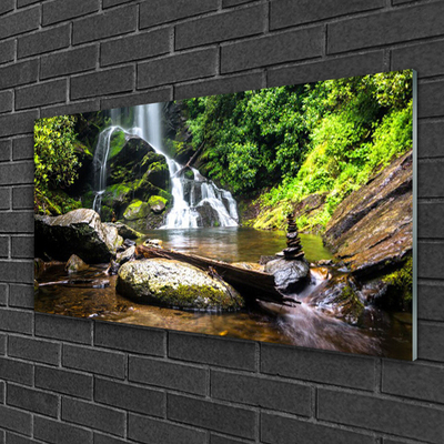 Plexiglas schilderij Bos stroom waterfall nature