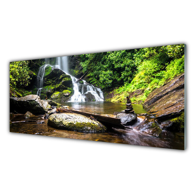 Plexiglas schilderij Bos stroom waterfall nature