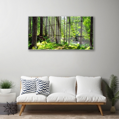 Plexiglas schilderij Natuur plant bosbomen