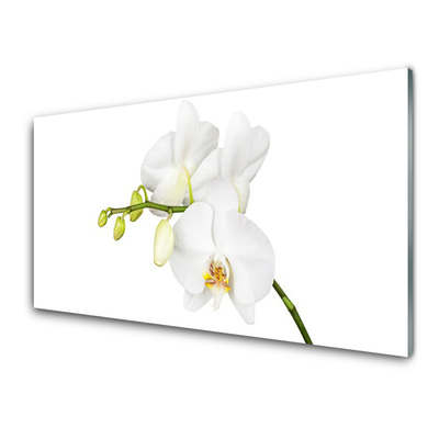 Plexiglas schilderij Orchideebloemen nature