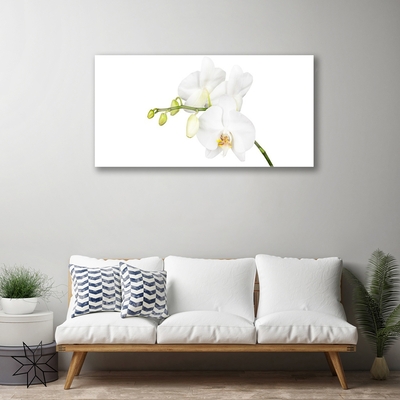 Plexiglas schilderij Orchideebloemen nature
