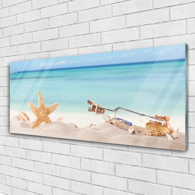 Plexiglas schilderij Zeester shells beach