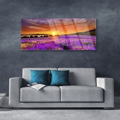 Plexiglas schilderij Sunset gebied van de lavendel